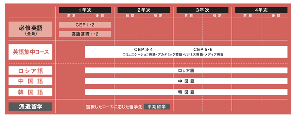 外国語教育 新潟国際情報大学 つなぐ つなげる つながる